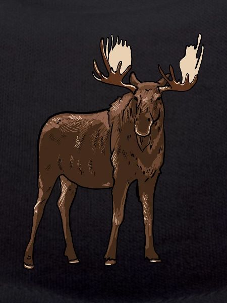 Moose
