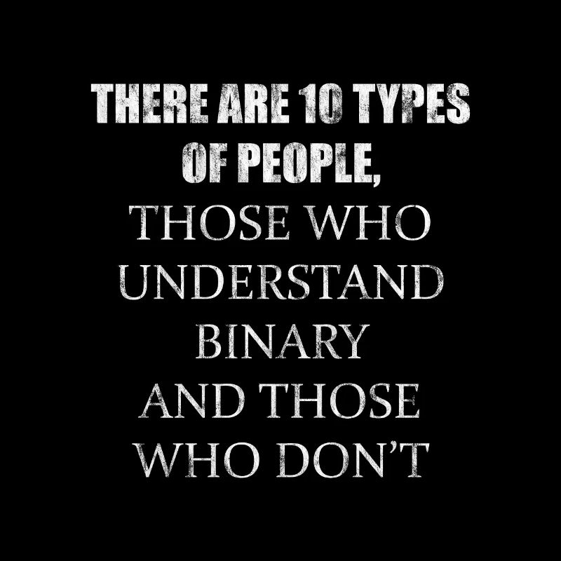 There Are 10 Types Of People, Binary Joke