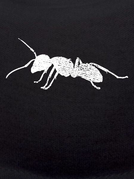 Ant