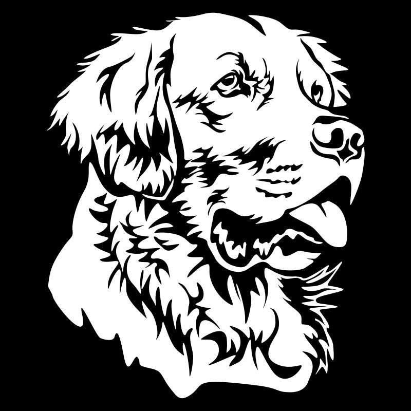 Golden Retriever Kopf "Black Edition"