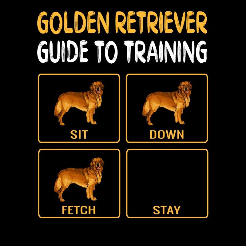 Golden Retriever Guide à la formation de l’obéissance de chien