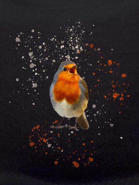 cute chirping robin Robin
