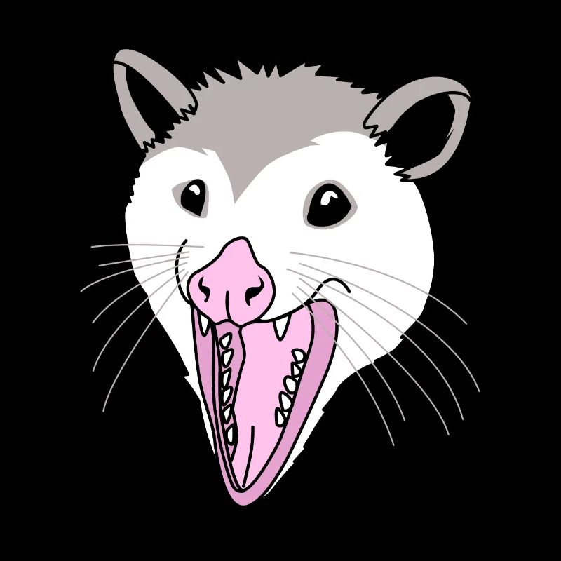 opossum
