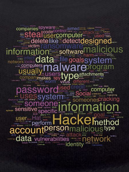 Cybersécurité Programmation informatique