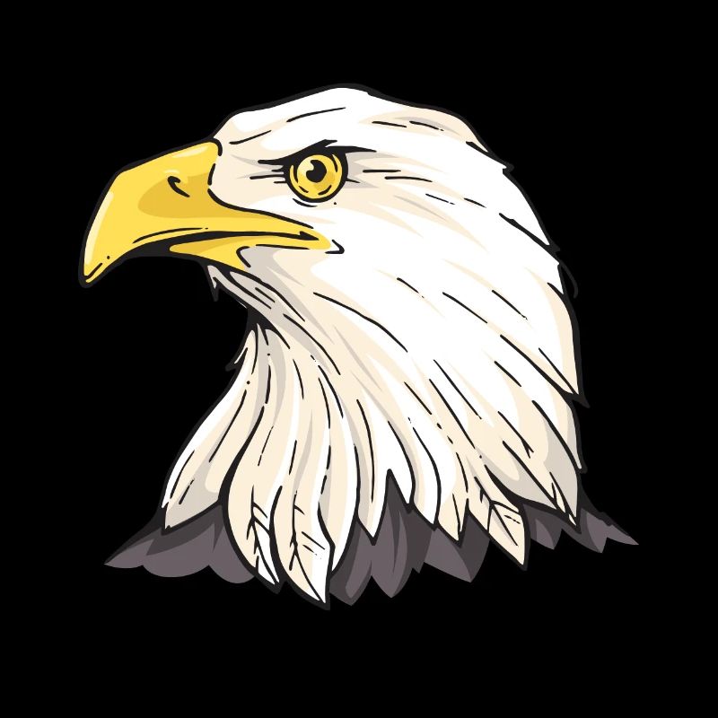 Eagle Falconer Pickling White-headed Eagle Falconry