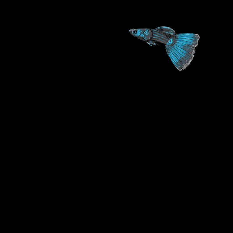 Guppy aquarian poisson cadeau