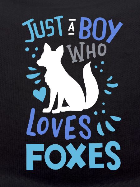 Foxes Fox Fox Lover