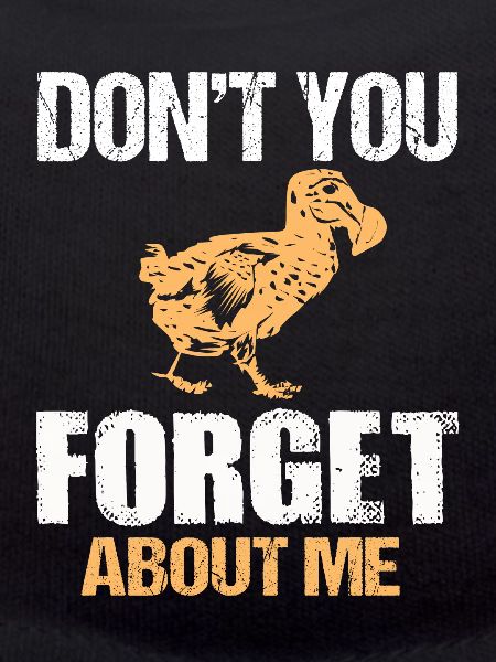 dodo
