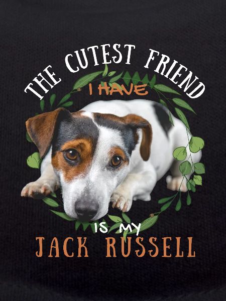 Sweet Jack-Russell Friend