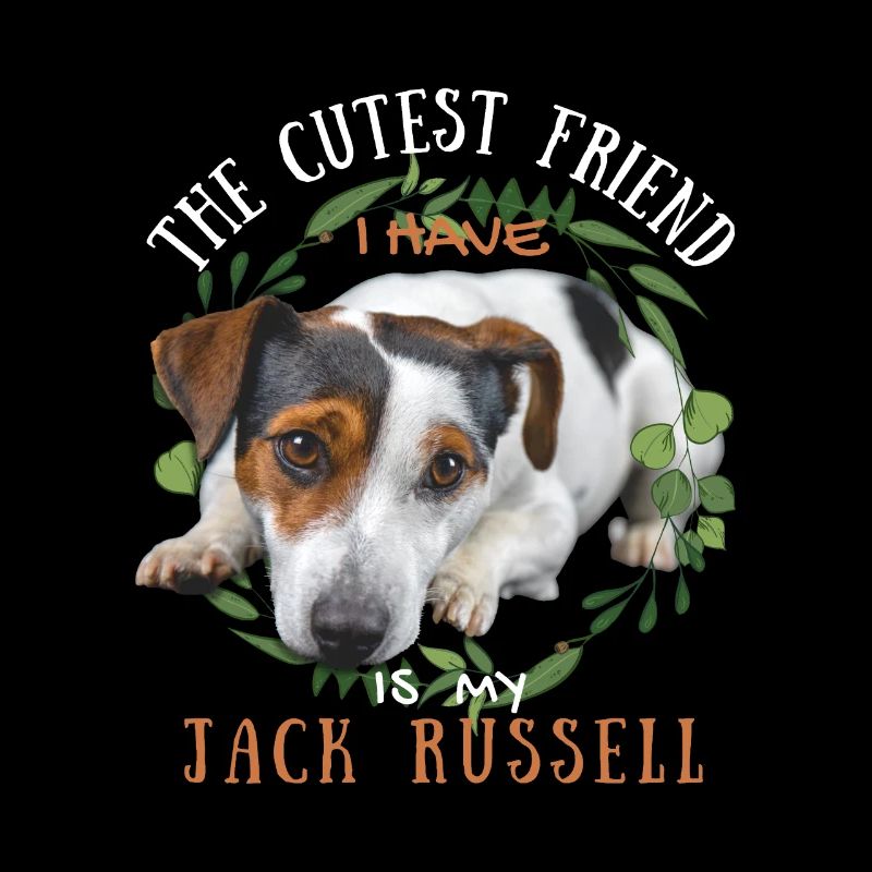 Süßer Jack-Russell Freund