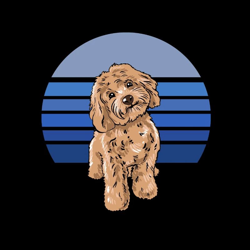 Cockapoo Blau Retro