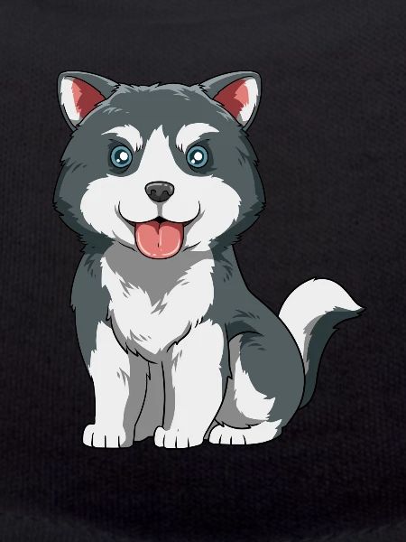 Husky Puppy