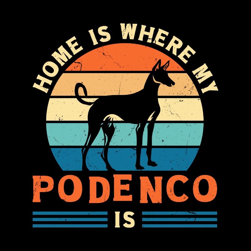 Podenco chien Ibizan Hound