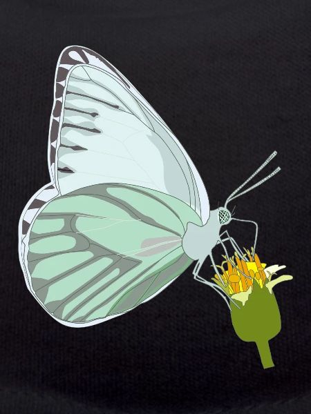 Papillon avec fleur