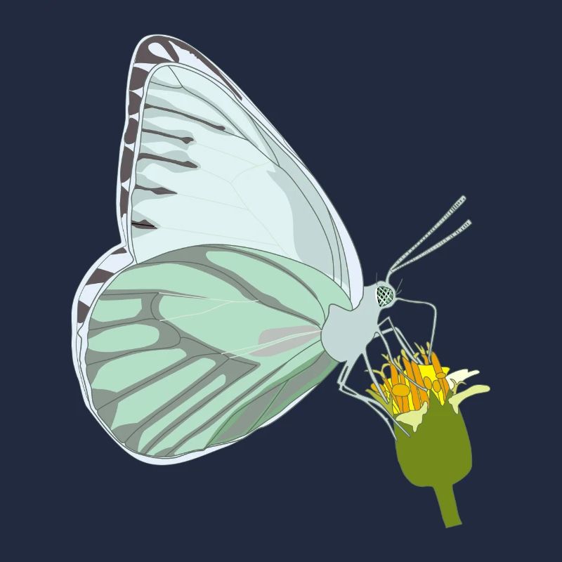 Schmetterling mit Blume