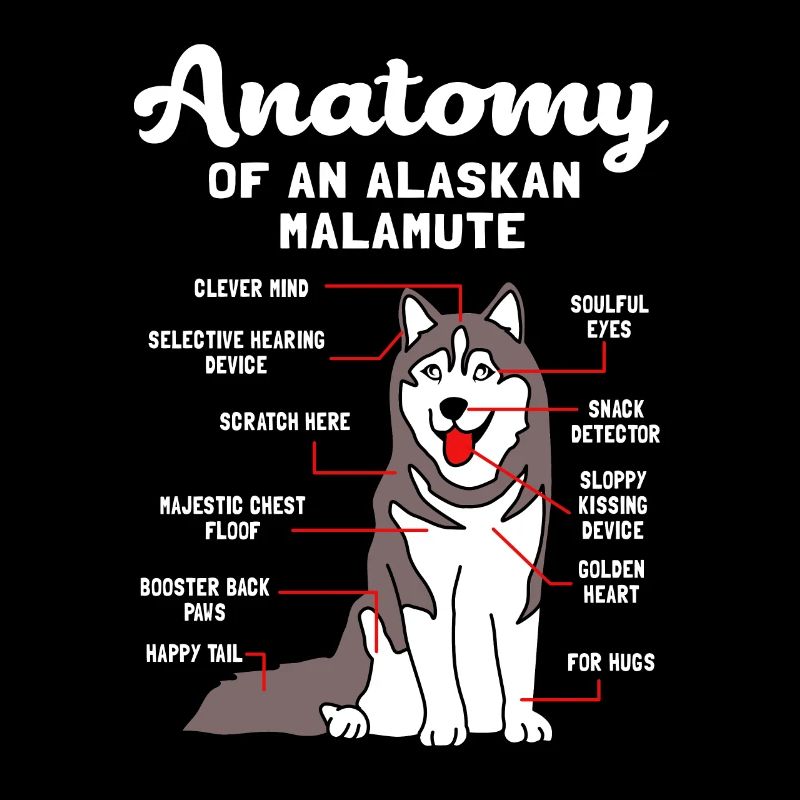 Malamute