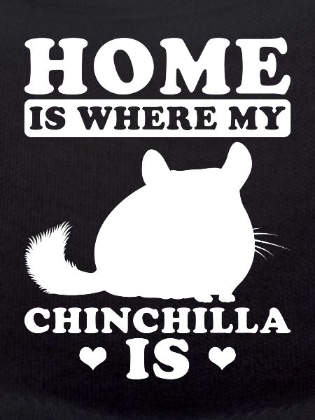 chinchilla