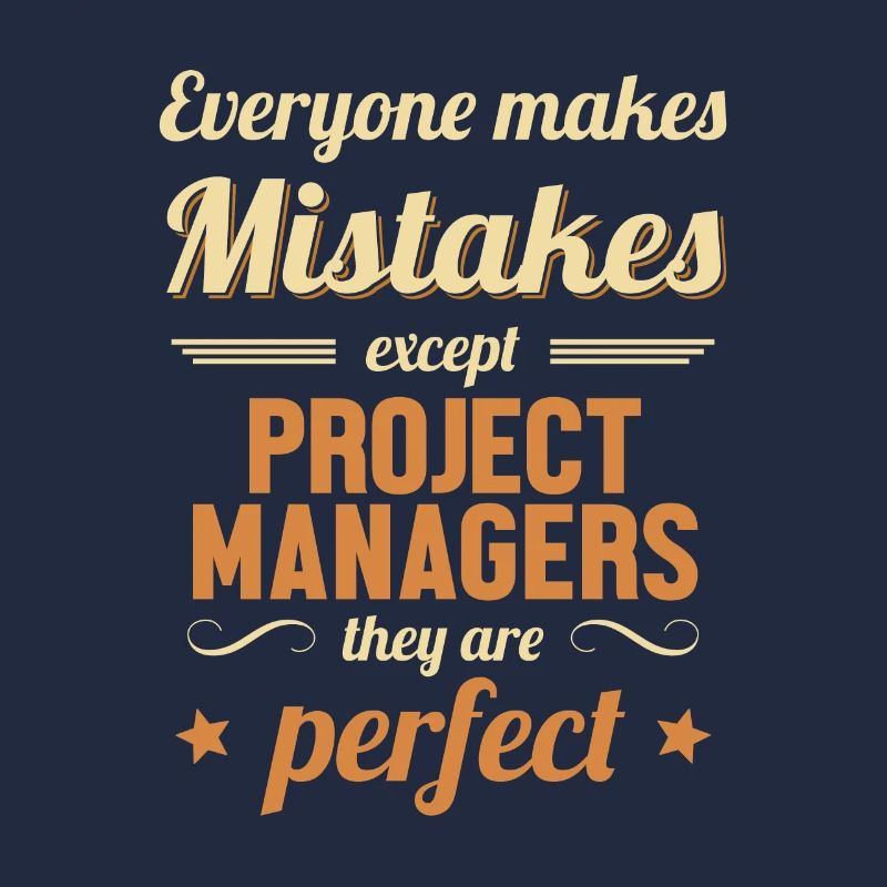 Project Manager are Perfect Project Engineer