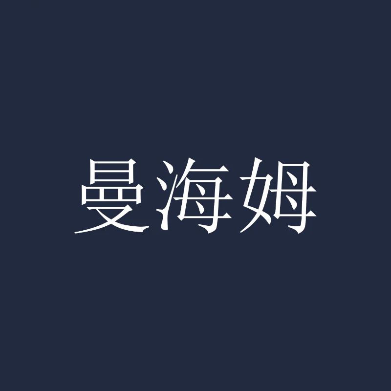 Mannheim chinesisch