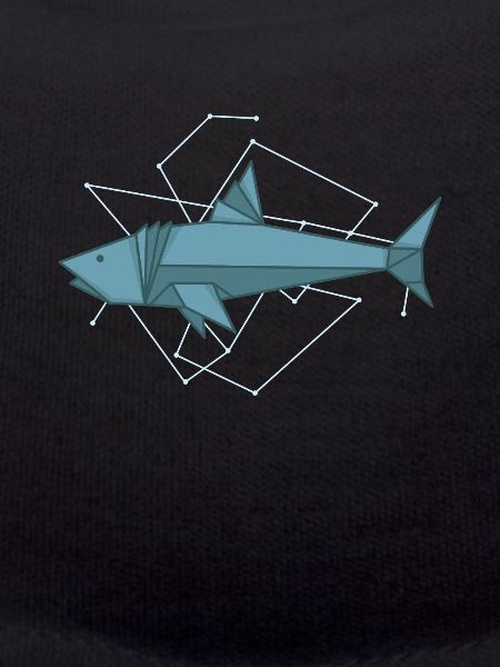 Origami Hai comme papier