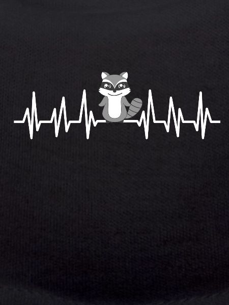 racoon