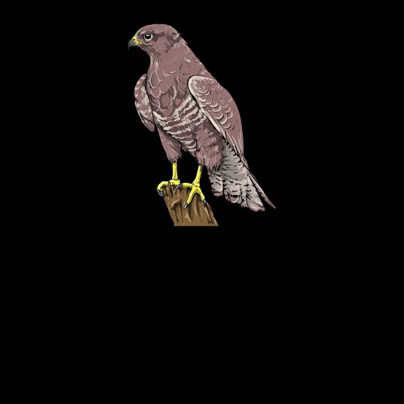 Busard de souris I Greifvogel Bussard motif pour