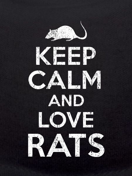 rats