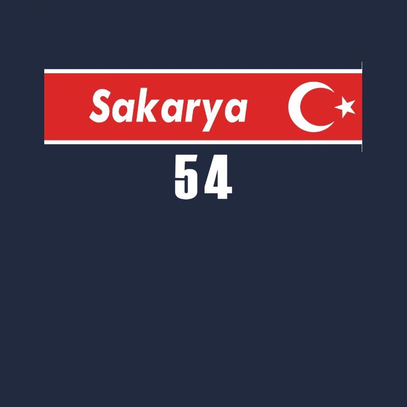 54 Sakarya Turkish license plate as a gift
