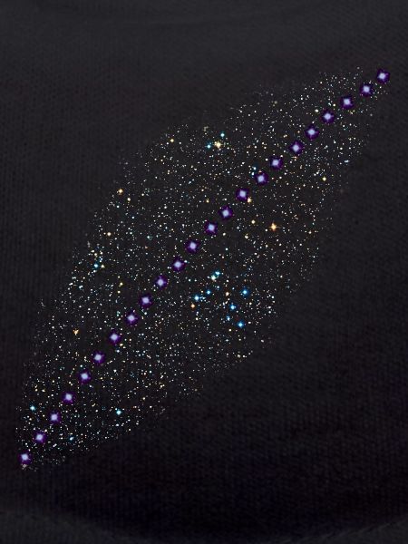 starlink Space internet