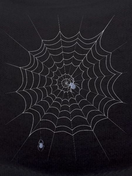 Spider web, spider, Halloween