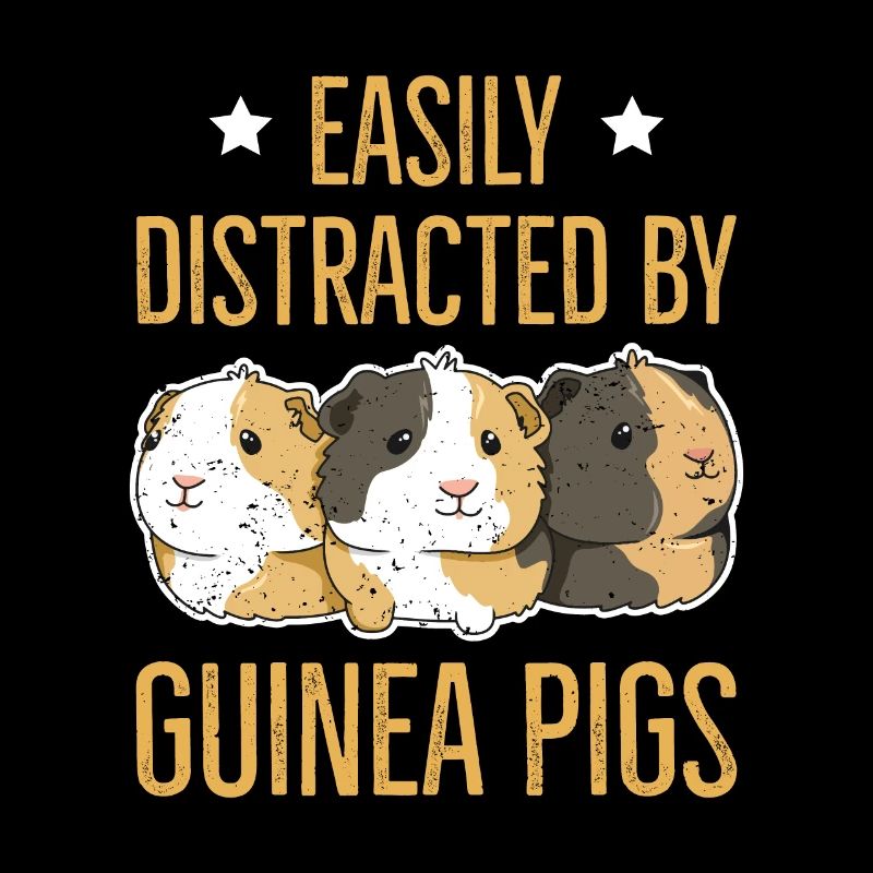 Guinea pig design for a guinea pig
