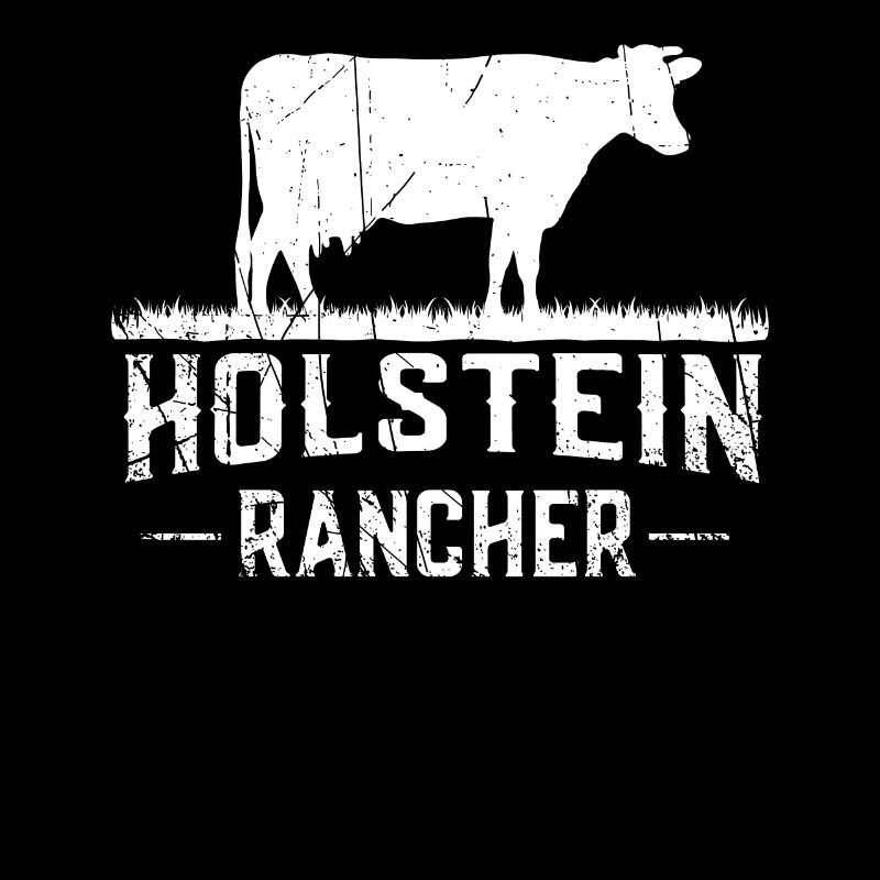 Holstein Rancher Vache Holstein