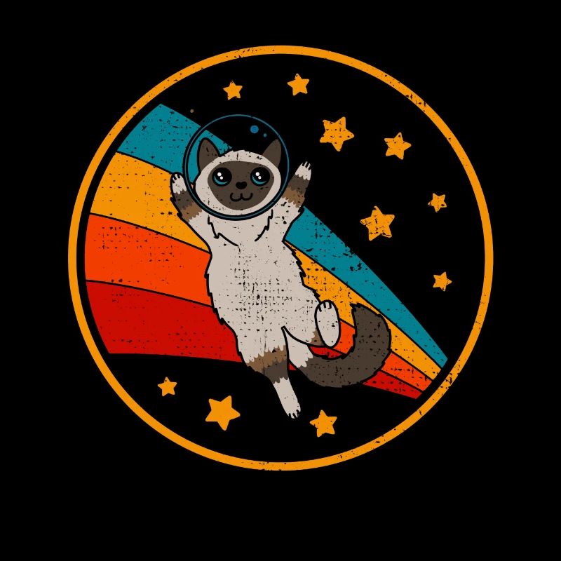 Birma Birma Katze Space Cat