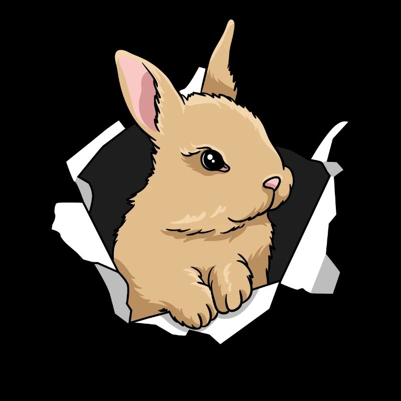 Rabbit Breakthrough Cute Rabbit Animal