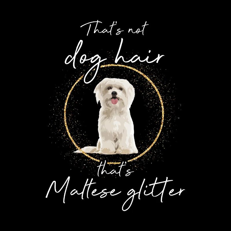 This is Maltese Glitter Dog
