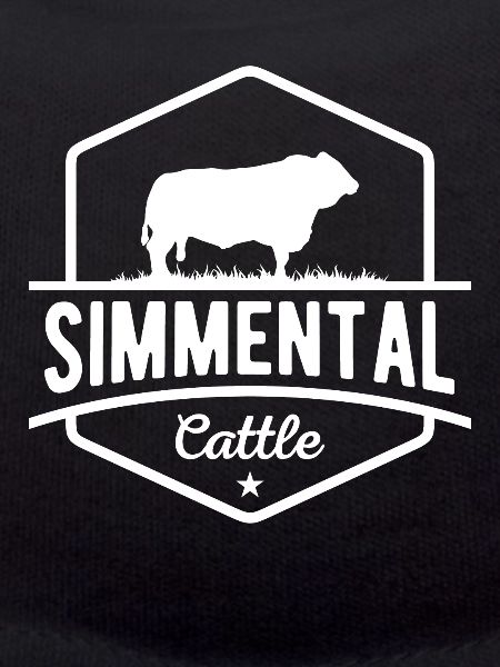 Kuhfarmer - Simmental-Rinder