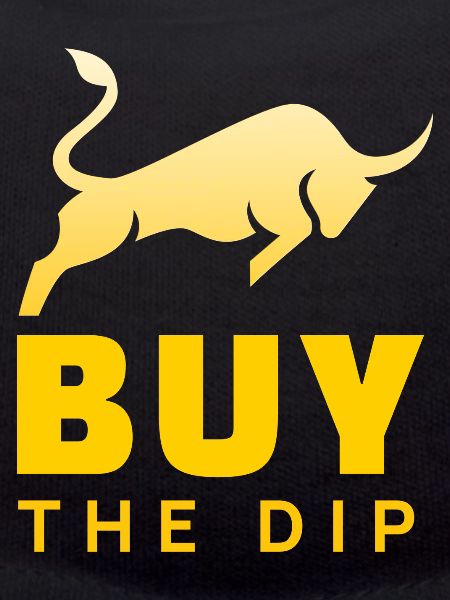 Buy the Dip!