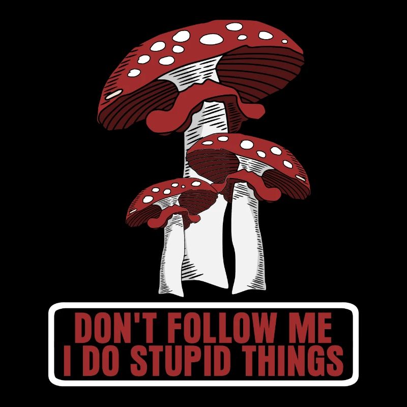 Fly agaric Fly agaric Mushroom Pickers