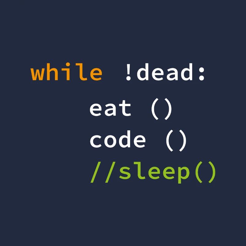 Funny Coding Programmer Gift