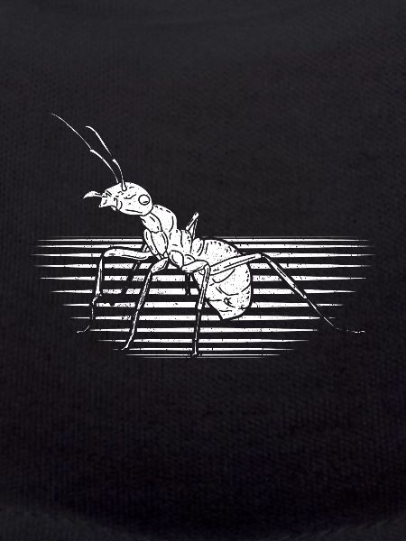 Ant insect