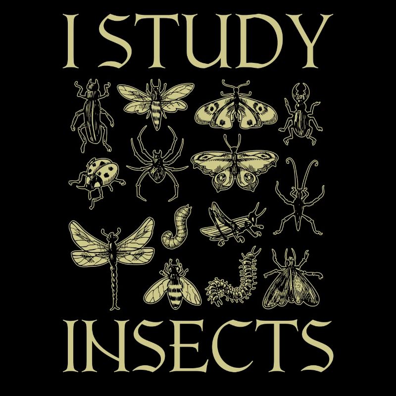 I Study Insects Kids Types Of Insects