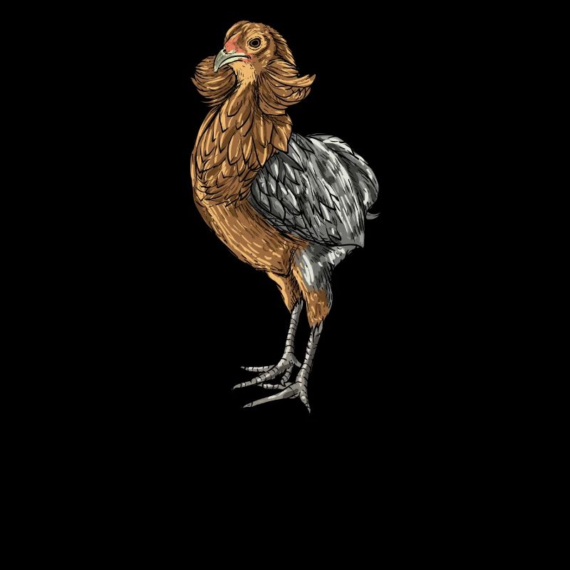 Araucana Chicken I Chicken Chicken Motif for