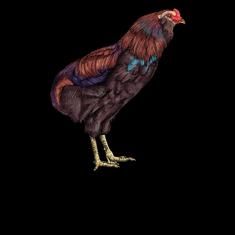 Araucana Chicken I Chicken Chicken Motif for