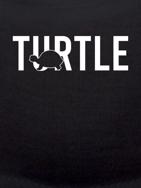 Turtle turtle