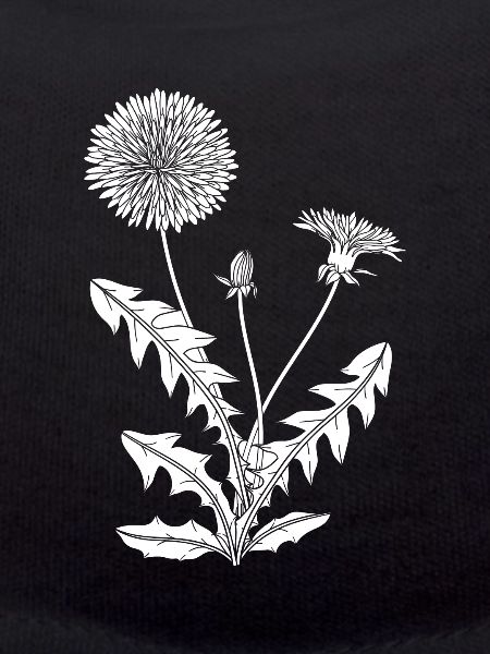 Wildflowers