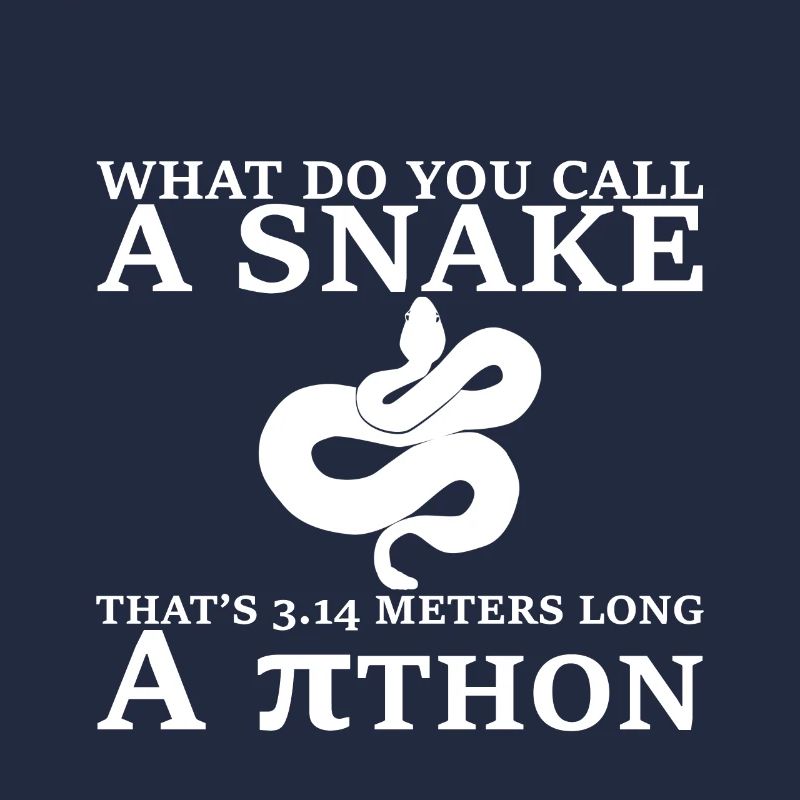 Un serpent de 3,14 mètres de long, un Pithon 3