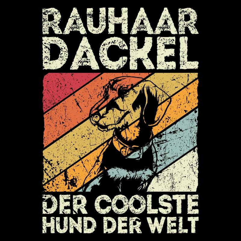 Dackel Rauhaardackel, der coolste Hund der Welt