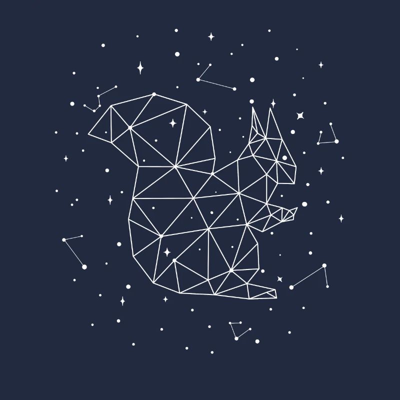 Constellation Squirrel Constellation Squirrel