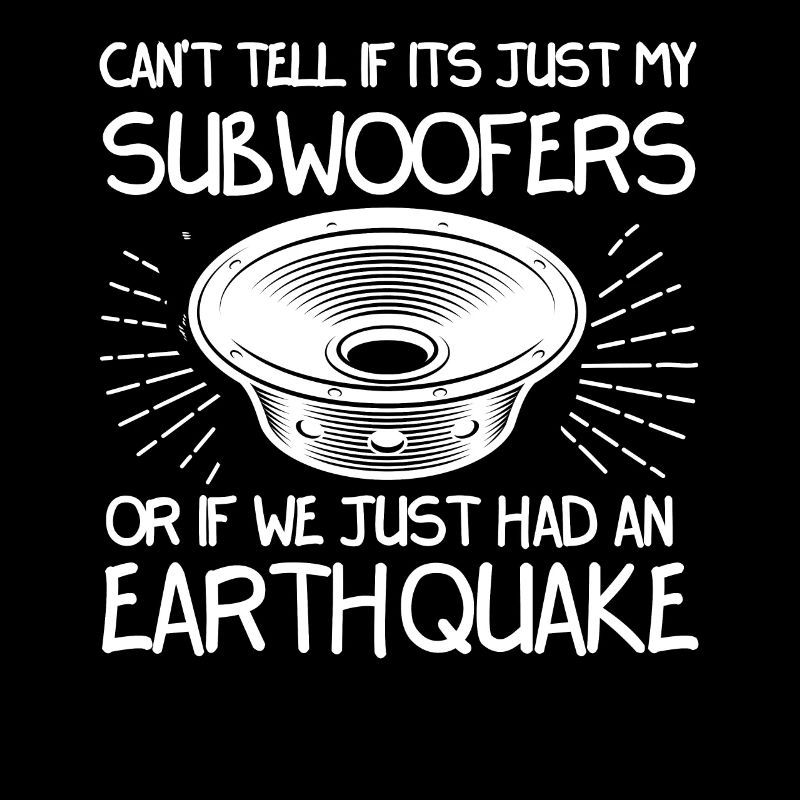 Not Sure If Subwoofer Or Earthquake