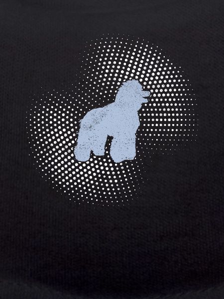 Poodle